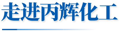 山东丙辉化工有限公司,福美钠,福美钾,威百亩
